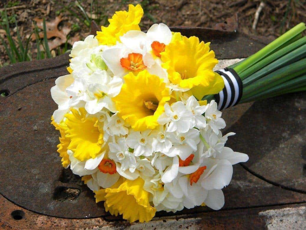 Spring into a new style season Photo: Springwell